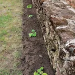 住宿加早餐酒店 Les Jardins De Beauverger *