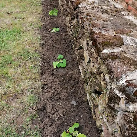 Oda ve Kahvaltı Les Jardins De Beauverger *