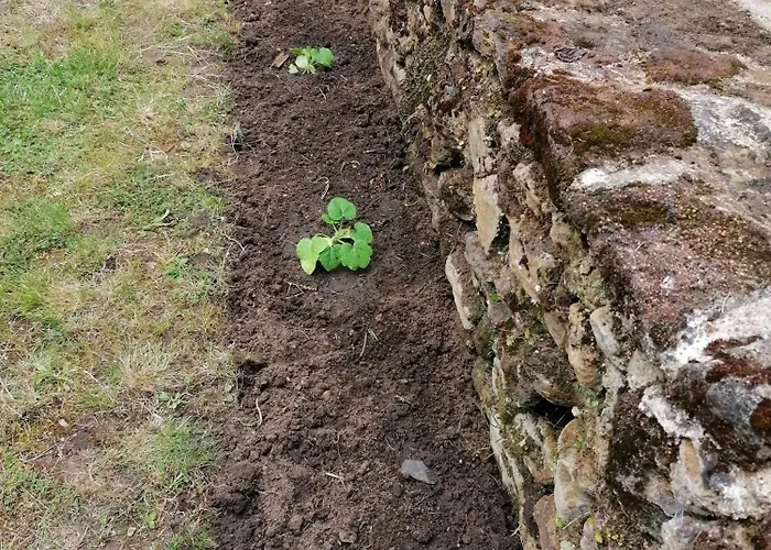 Bed & Breakfast Les Jardins De Beauverger *